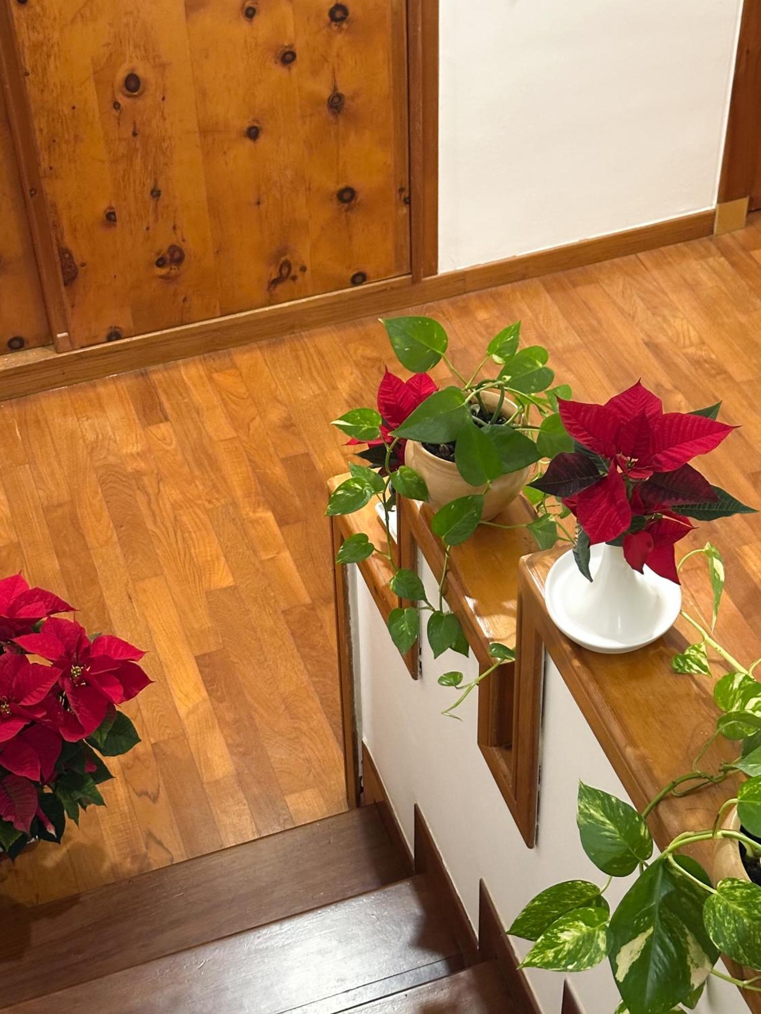 Le Foglie D'ulivo Bed and breakfast