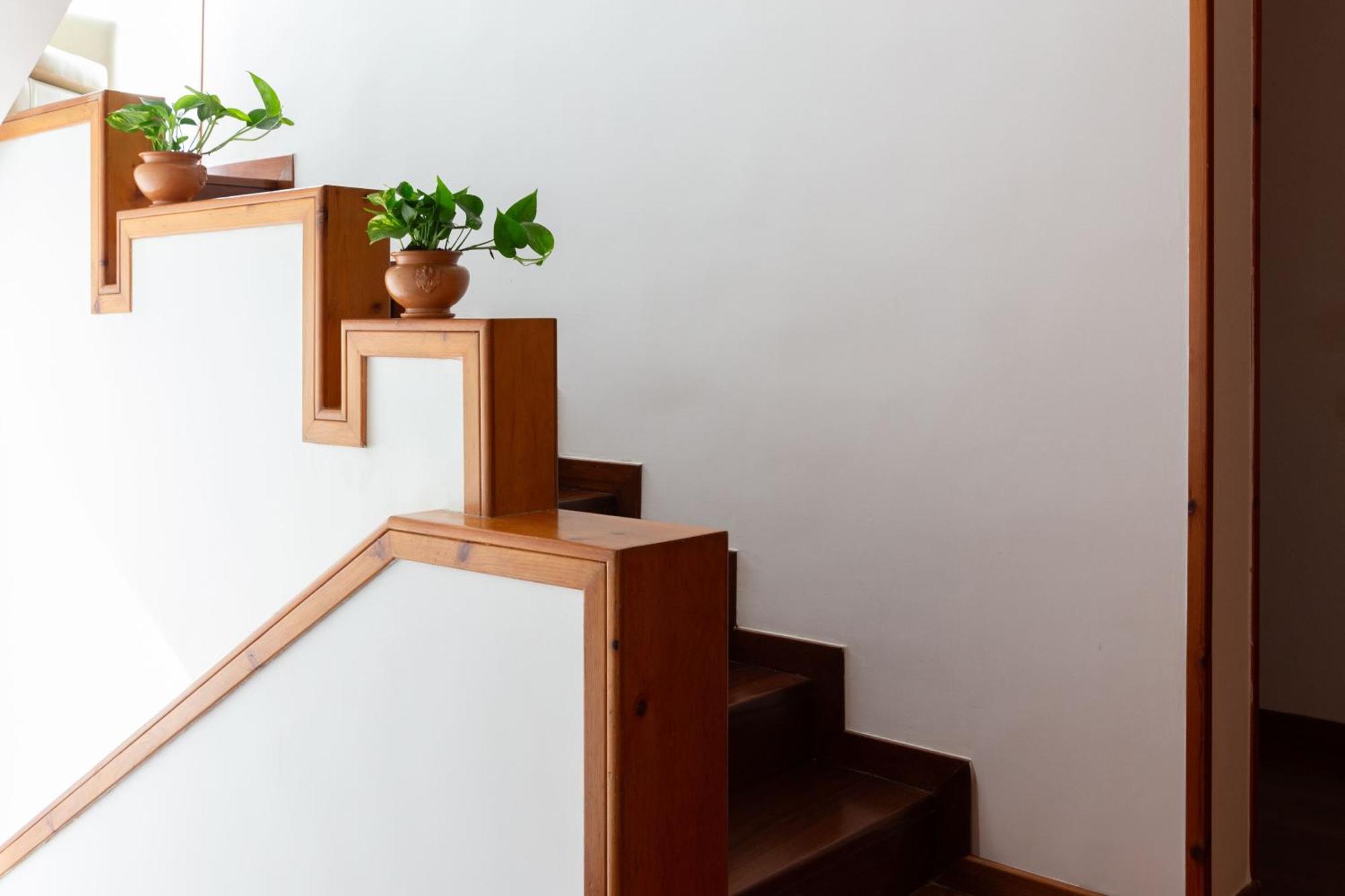 Le Foglie D'ulivo Bed and breakfast *