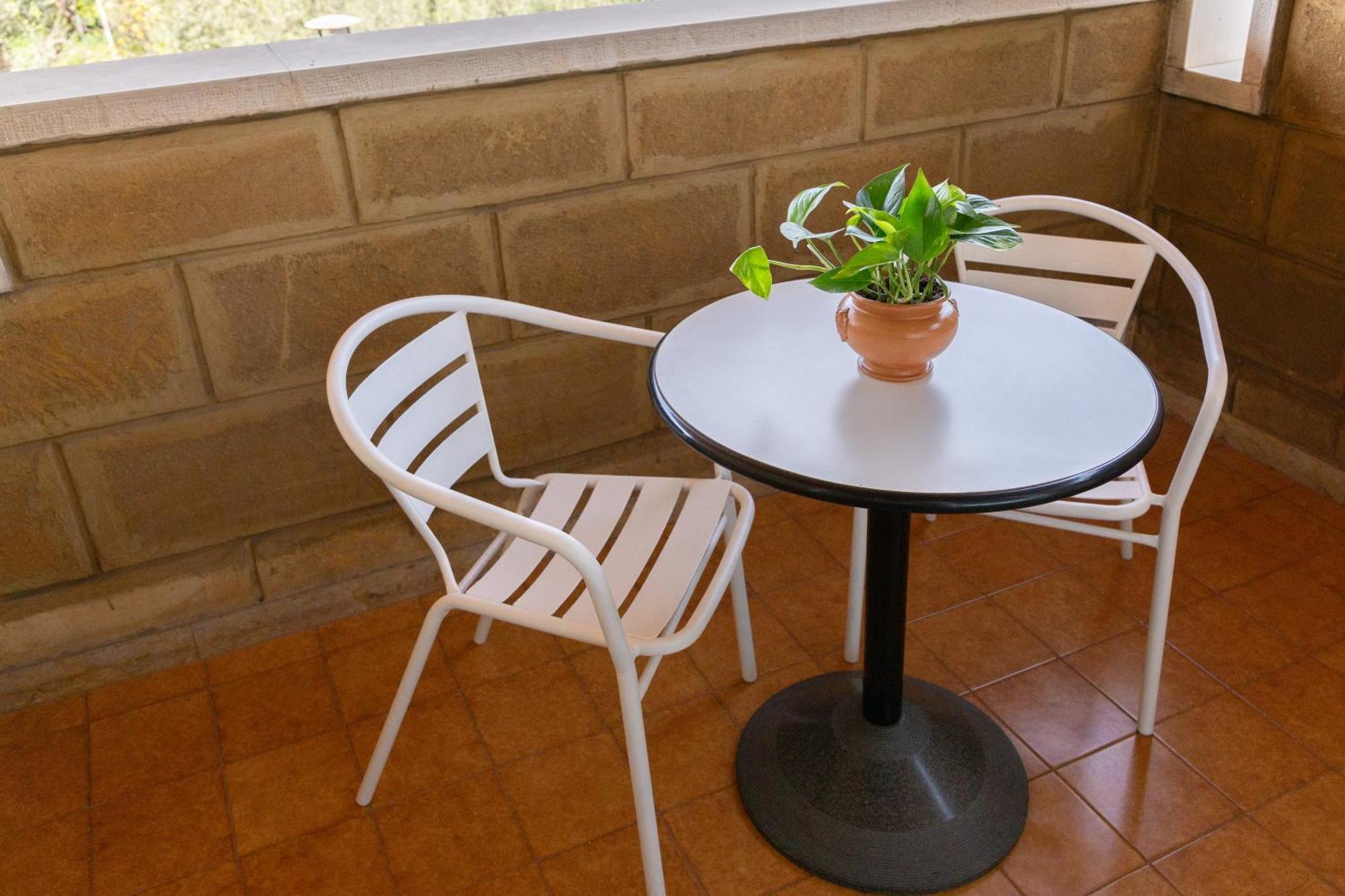 Le Foglie D'ulivo Bed and breakfast
