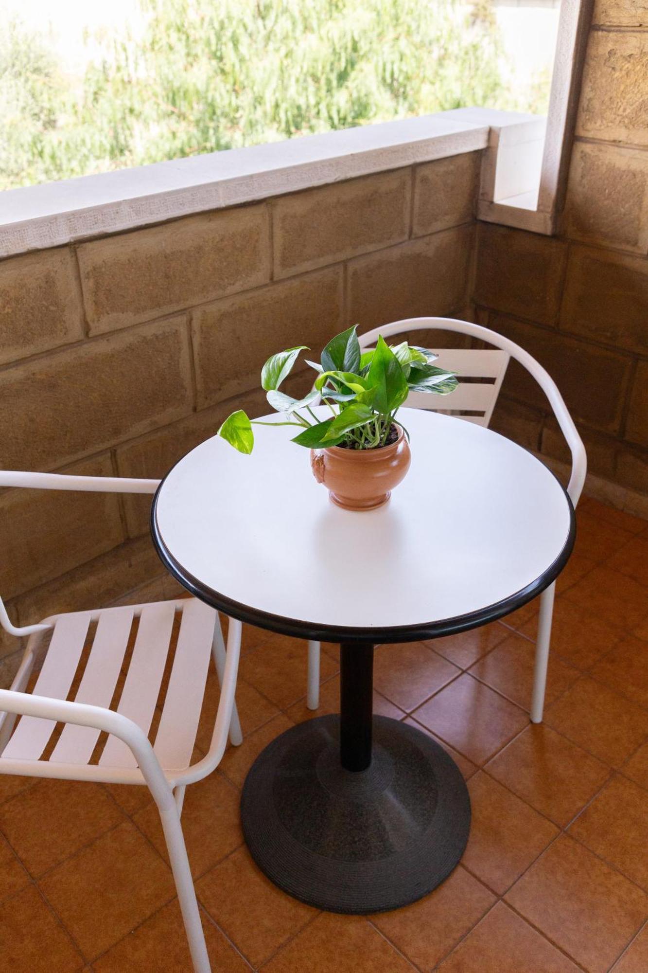 Le Foglie D'ulivo Bed and breakfast Bari
